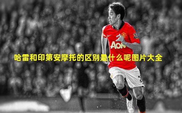 哈雷和印第安摩托的区别是什么呢图片大全