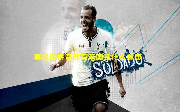 塞组词拼音部首笔画是什么意思
