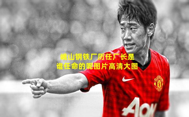 峨山钢铁厂历任厂长是谁任命的呢图片高清大图