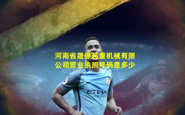 河南省晟源起重机械有限公司营业执照号码是多少