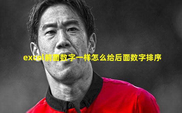 excel前面数字一样怎么给后面数字排序
