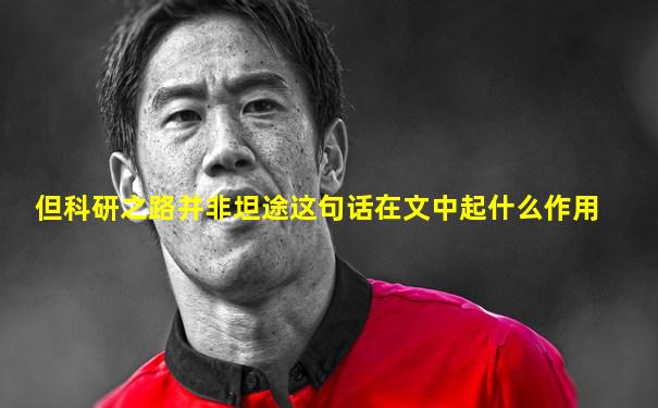 但科研之路并非坦途这句话在文中起什么作用