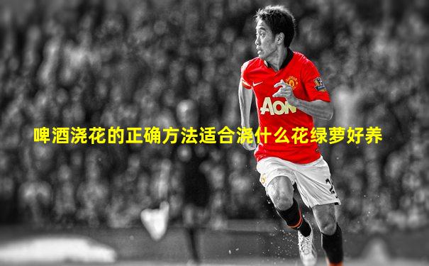 啤酒浇花的正确方法适合浇什么花绿萝好养