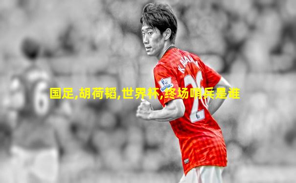 国足,胡荷韬,世界杯,终场哨兵是谁