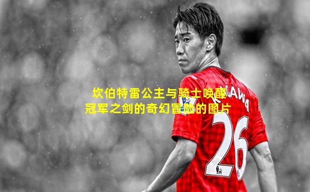 坎伯特雷公主与骑士唤醒冠军之剑的奇幻冒险的图片