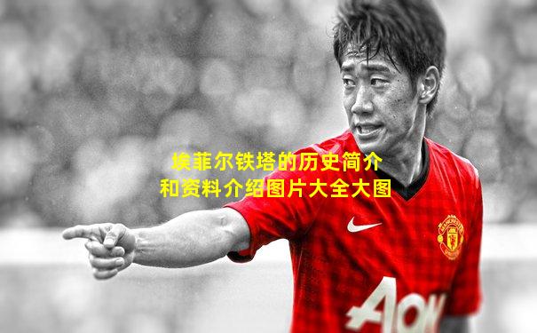 埃菲尔铁塔的历史简介和资料介绍图片大全大图