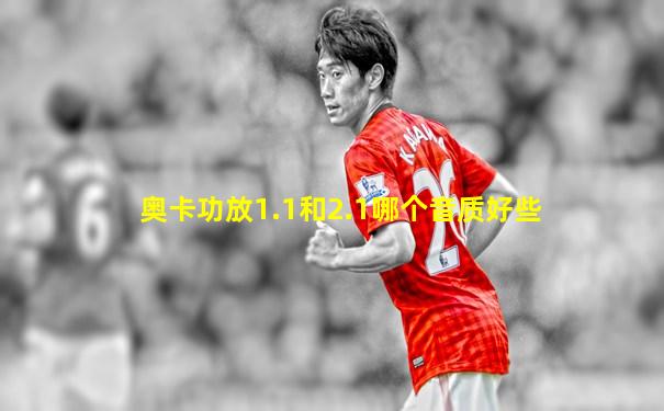 奥卡功放1.1和2.1哪个音质好些