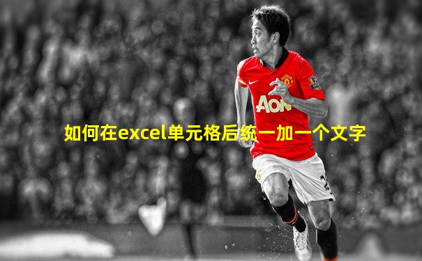 如何在excel单元格后统一加一个文字