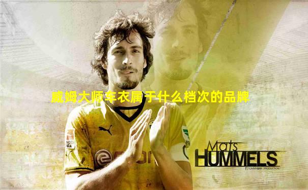 威姆大师车衣属于什么档次的品牌