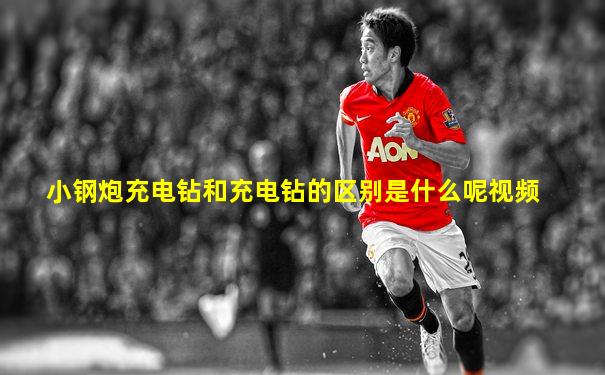 小钢炮充电钻和充电钻的区别是什么呢视频
