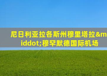 尼日利亚拉各斯州穆里塔拉·穆罕默德国际机场