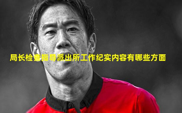 局长检查指导派出所工作纪实内容有哪些方面