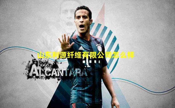 山东利源纤维有限公司怎么样