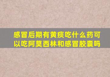 感冒后期有黄痰吃什么药可以吃阿莫西林和感冒胶囊吗