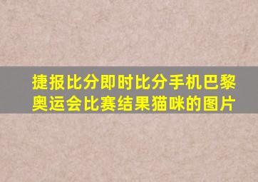 捷报比分即时比分手机巴黎奥运会比赛结果猫咪的图片
