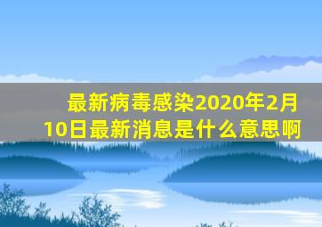 最新病毒感染2020年2月10日最新消息是什么意思啊