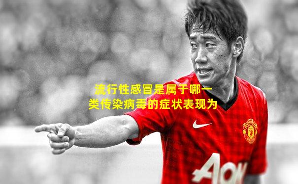 流行性感冒是属于哪一类传染病毒的症状表现为