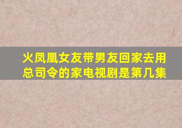 火凤凰女友带男友回家去用总司令的家电视剧是第几集