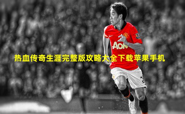 热血传奇生涯完整版攻略大全下载苹果手机