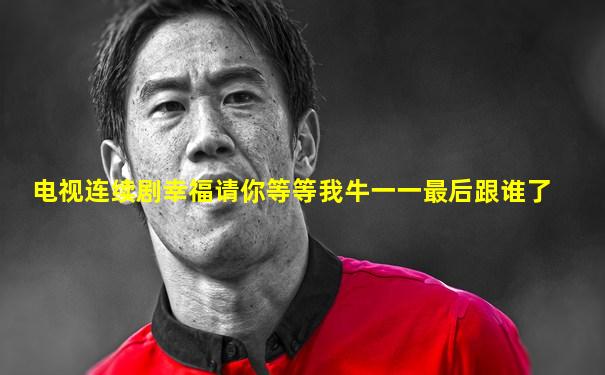 电视连续剧幸福请你等等我牛一一最后跟谁了