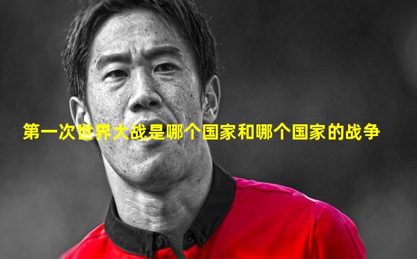 第一次世界大战是哪个国家和哪个国家的战争