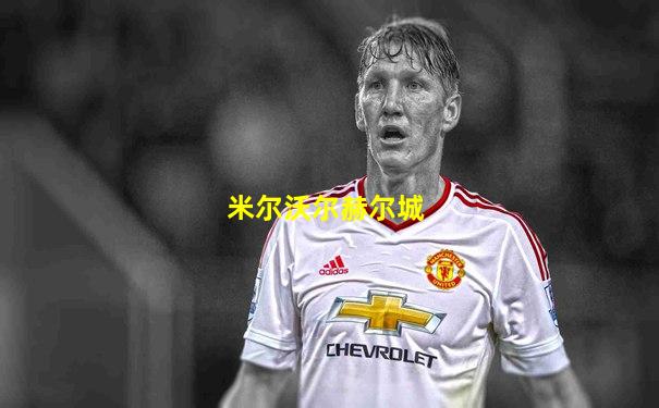 米尔沃尔赫尔城