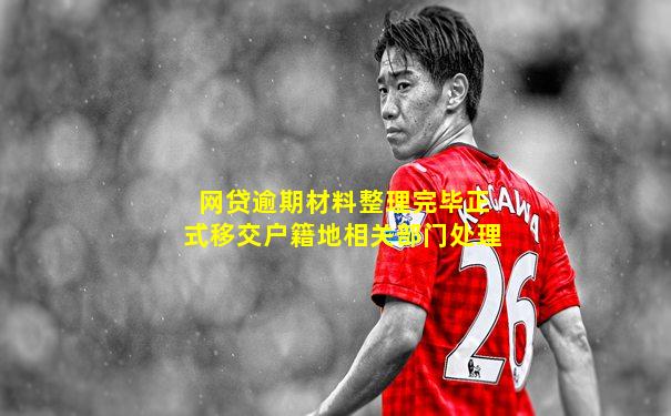 网贷逾期材料整理完毕正式移交户籍地相关部门处理