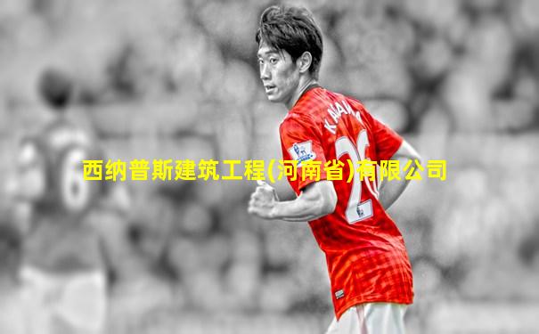 西纳普斯建筑工程(河南省)有限公司