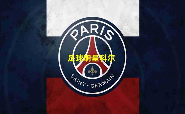 足球明星科尔